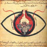 132 - Eye of the Beholder Theories of Vision